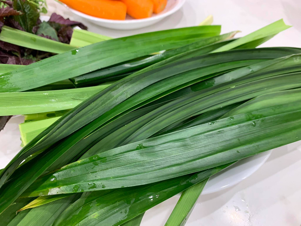 Cây lá nếp có tác dụng ổn định đường huyết. (Ảnh: Đậu Đậu/Vietnam+)