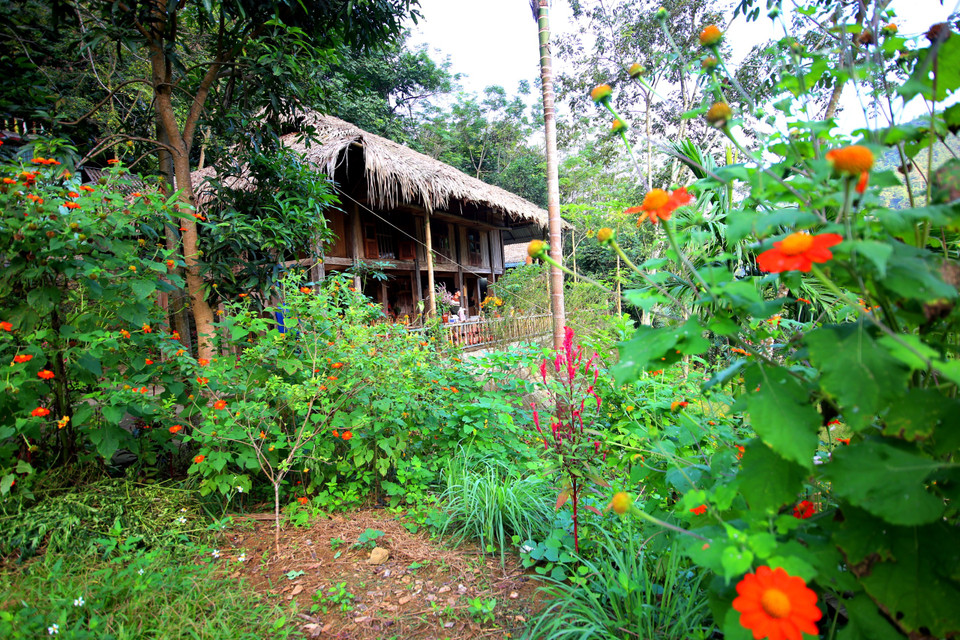 Xóm Đá Bia đón chúng tôi bằng những sắc hoa vàng rực rỡ trải dọc con đường từ dưới bến thuyền lên tận từng homestay. Năm 2021, dịch COVID-19 đã ảnh hưởng lớn đến phát triển du lịch địa phương, đặc biệt sau đợt bùng phát dịch lần thứ 4. Hiện toàn huyện Đà Bắc có 13 hộ kinh doanh du lịch cộng đồng tại 3 xã Hiền Lương, Cao Sơn, Tiền Phong. (Ảnh:Vietnam+)