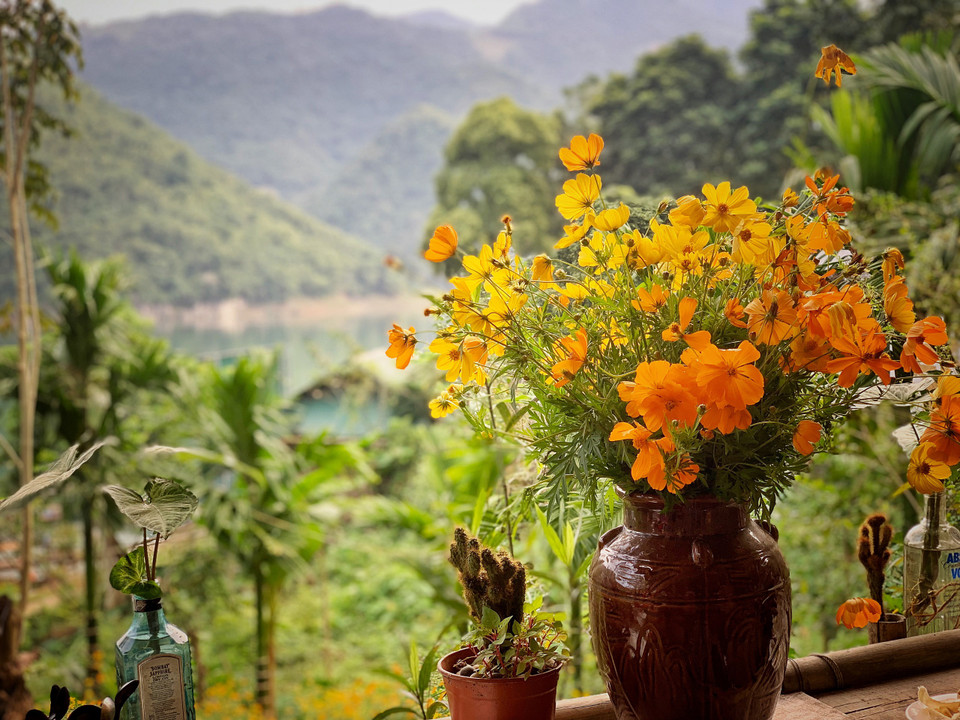 Cứ ra vườn một lúc là có ngay vài lọ hoa xinh tươi, sắc màu rực rỡ, rộn ràng cả không gian làng bản. (Ảnh: Mai Mai/Vietnam+)
