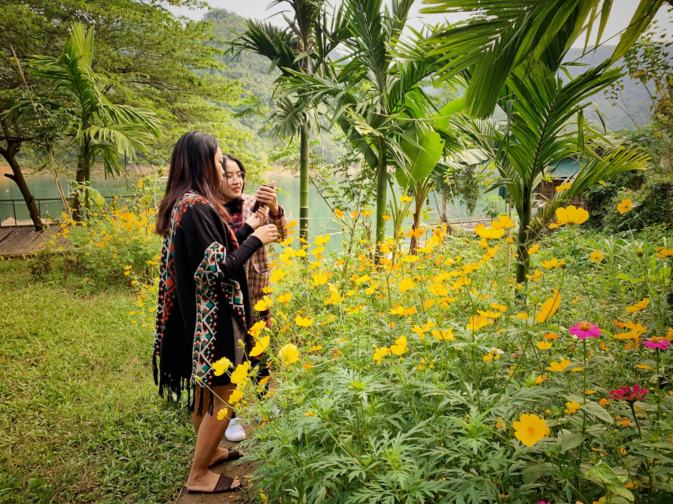 Sáng sớm dậy, nhẩn nha quanh bản để chụp hình với nững vườn hoa rực rỡ sắc màu. Xóm Đá Bia giờ đây đã khác nhiều so với dăm năm nước, người dân đã biết chăm chút cho từng góc vườn, từng góc homestay để bất cứ đâu du khách cũng có thể 'sống ảo.' (Ảnh: Mai Mai/Vietnam+)