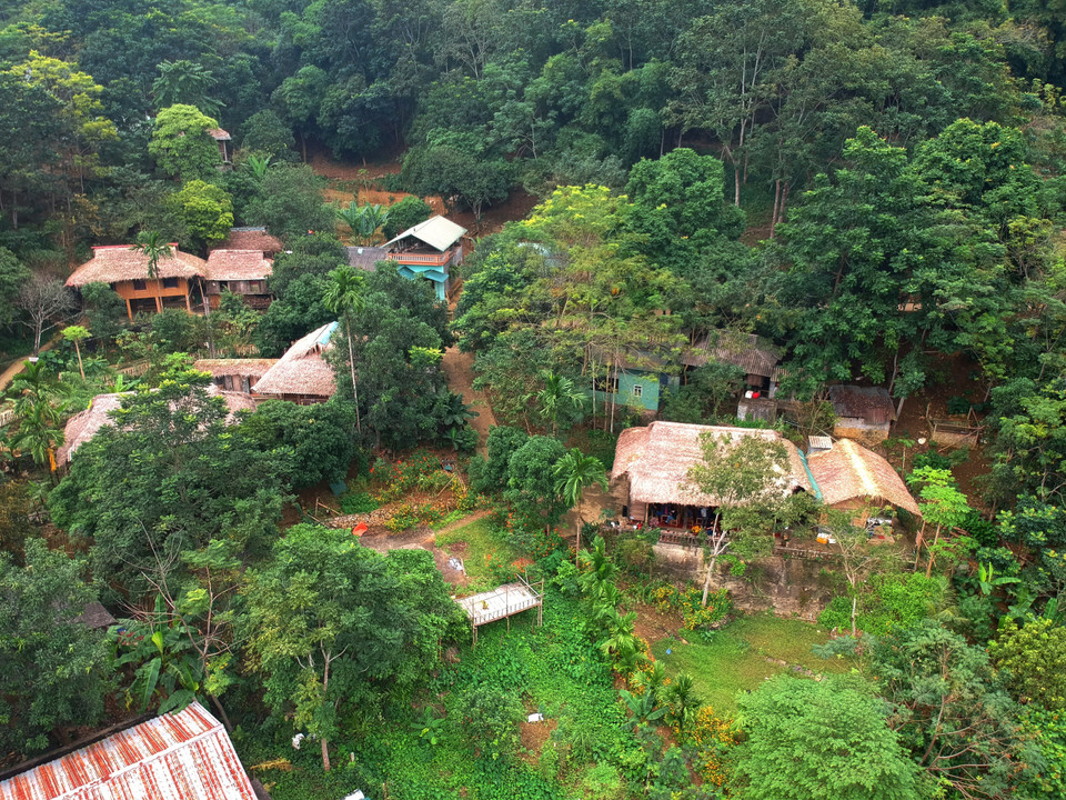 Những mái nhà sàn lúp xúp dưới tán cây. Du lịch cộng đồng đã thổi làn gió mới tới địa danh xa xôi nhất của huyện Đà Bắc này. Và Action on Poverty (AOP) - tên gọi mới của The Australian Foundation for the Peoples of Asia and the Pacific Limited (AFAP) - tổ chức phi chính phủ Australia chính là 'cây cầu' đã hỗ trợ và đưa bà con bản Mường ở Đà Bắc đến với du lịch cộng đồng. (Ảnh: Vietnam+)