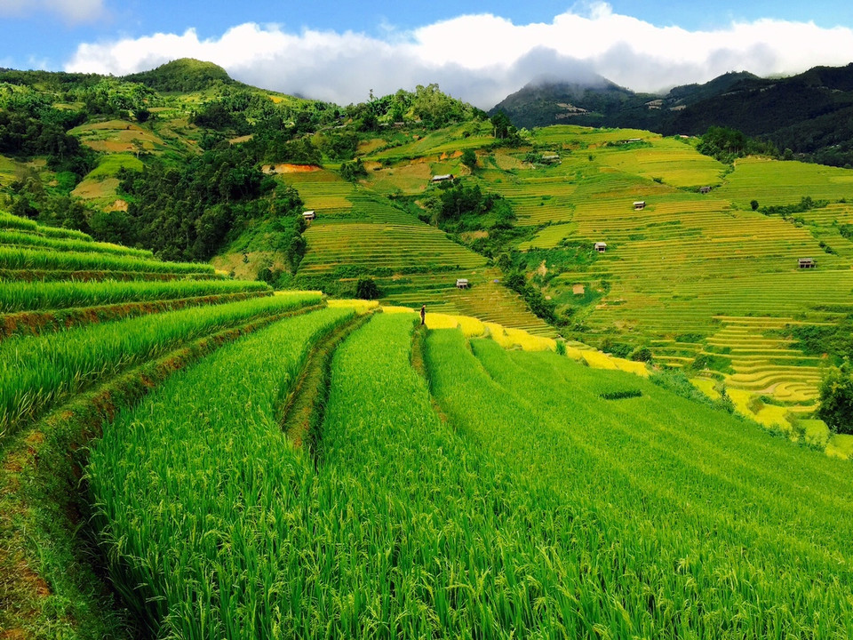 Bức tranh quyến rũ của vùng cao. (Ảnh: Xuân Mai/Vietnam+)