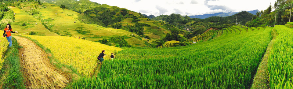 Sắc màu đối lập. (Ảnh: Xuân Mai/Vietnam+)