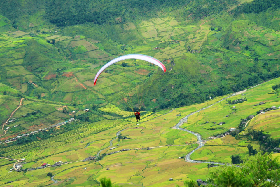 Có khoảng 100 lượt 'Bay trên mùa vàng' rực rỡ cuối tuần qua ở đèo Khau Phạ. (Ảnh: Xuân Mai/Vietnam+)