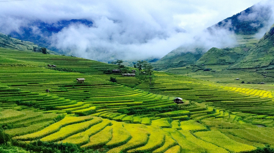 Chiều tà trên bản Lìm Mông, mây sà xuống ấp ôm những mái nhà rêu cũ giữa cánh đồng lúa mênh mông. (Ảnh: Xuân Mai/Vietnam+)