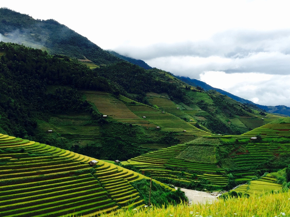Đây là thời điểm Mù Cang Chải rất được du khách ưa chuộng. (Ảnh: Xuân Mai/Vietnam+)