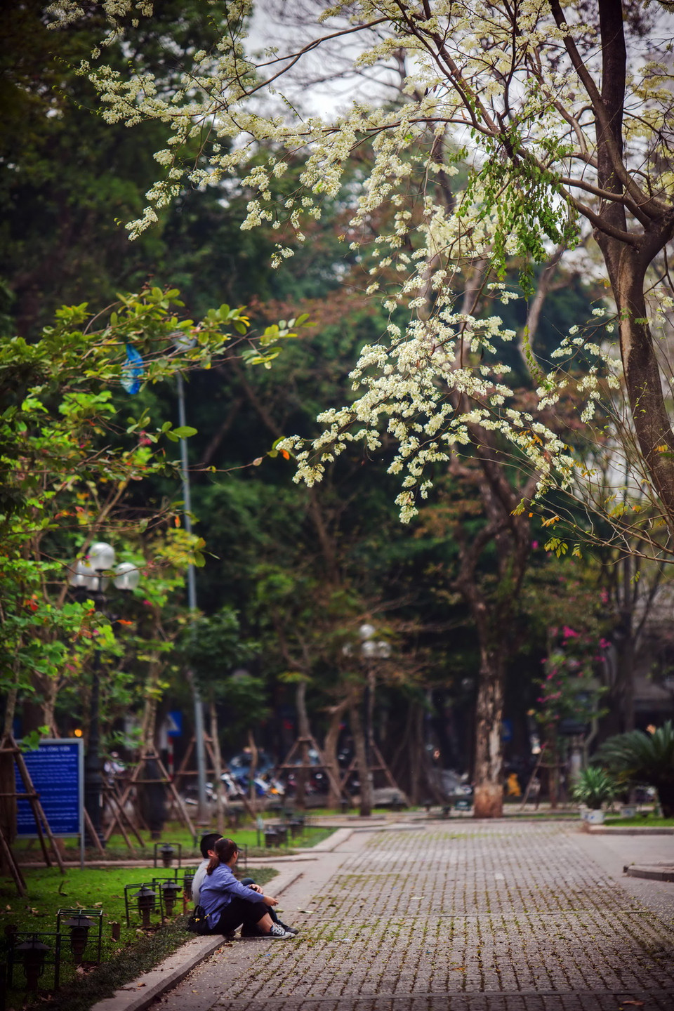  (Ảnh: Trọng Đạt/TTXVN) 