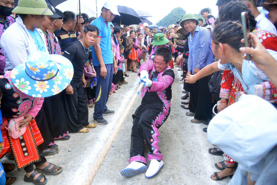 Các đội tham gia thi kéo co tại Ngày hội hái quả mận hậu Mộc Châu năm 2023.(Ảnh: Quang Quyết/TTXVN)