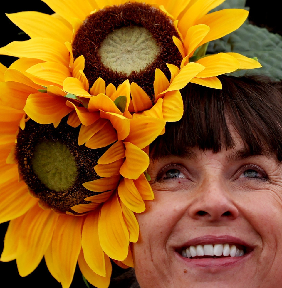 Triển lãm hoa thường niên danh giá nhất thế giới Chelsea Flower Show 2023. (Ảnh: THX/TTXVN)