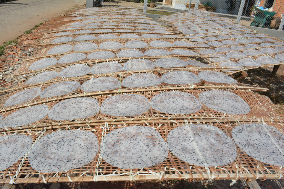 Phơi bánh tráng thành phẩm. (Ảnh: Tuấn Anh/TTXVN)