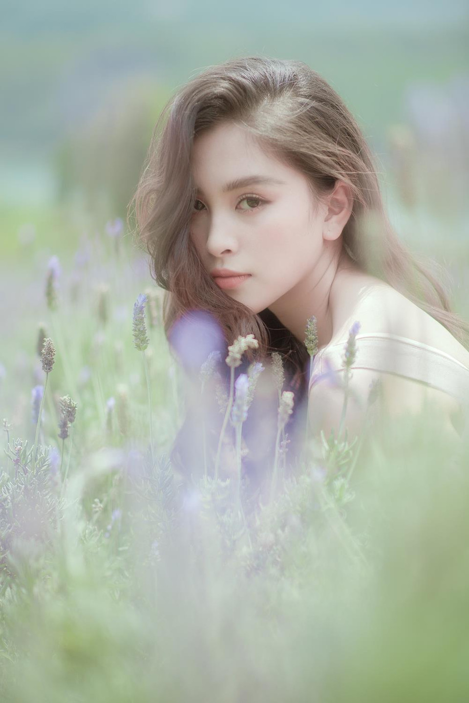 Cùng ngắm nhan sắc ngọt ngào sau nửa năm đăng quang Hoa hậu của Tiểu Vy. (Ảnh: Yết Bàng/Vietnam+)