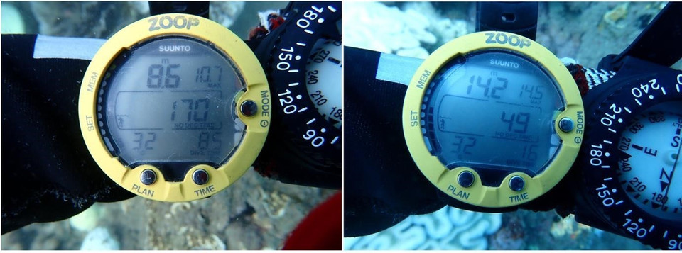 Nhiệt độ nước biển ở khu vực Hòn Tài ở độ sâu 8,6m và 14,2m đều 32 độ C. (Ảnh: TTXVN phát)