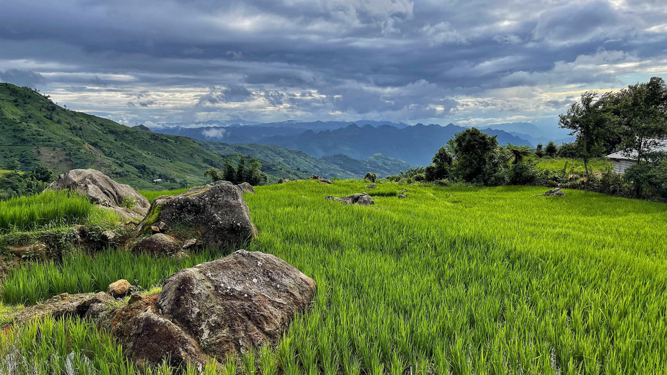 Thiên nhiên tuyệt đẹp ở Sin Suối Hồ. (Ảnh: Mai Mai/Vietnam+)