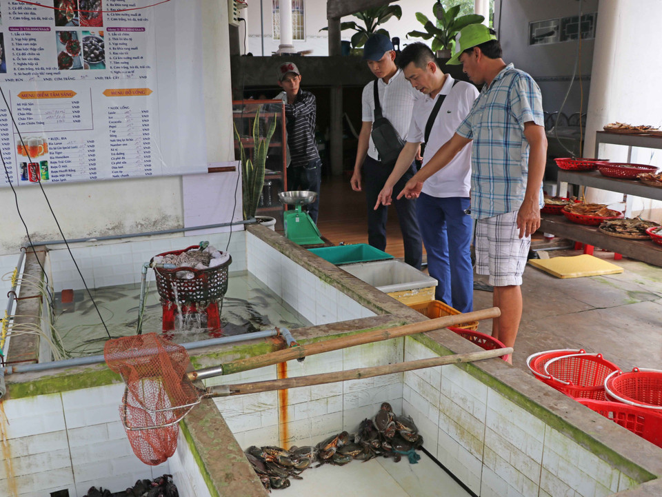 Du khách đến đây có thể tự tay lựa chọn, thưởng thức các loại thủy sản đặc trưng của địa phương. (Ảnh: Thế Anh/TTXVN)