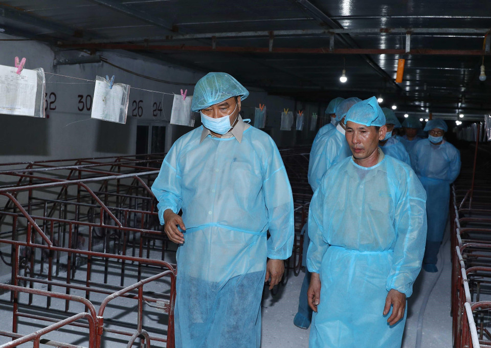 Thủ tướng Nguyễn Xuân Phúc đi kiểm tra tình hình phòng, chống dịch tả lợn châu Phi tại Hợp tác xã nông nghiệp hữu cơ Tiên Dương. (Ảnh: Thống Nhất/TTXVN)