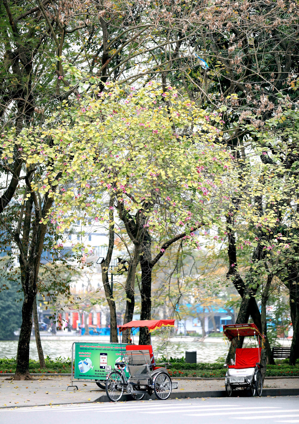 Mỗi góc hồ Gươm đều có sức hút riêng đối với người dân Hà Nội. (Ảnh: Nhật Anh/TTXVN)