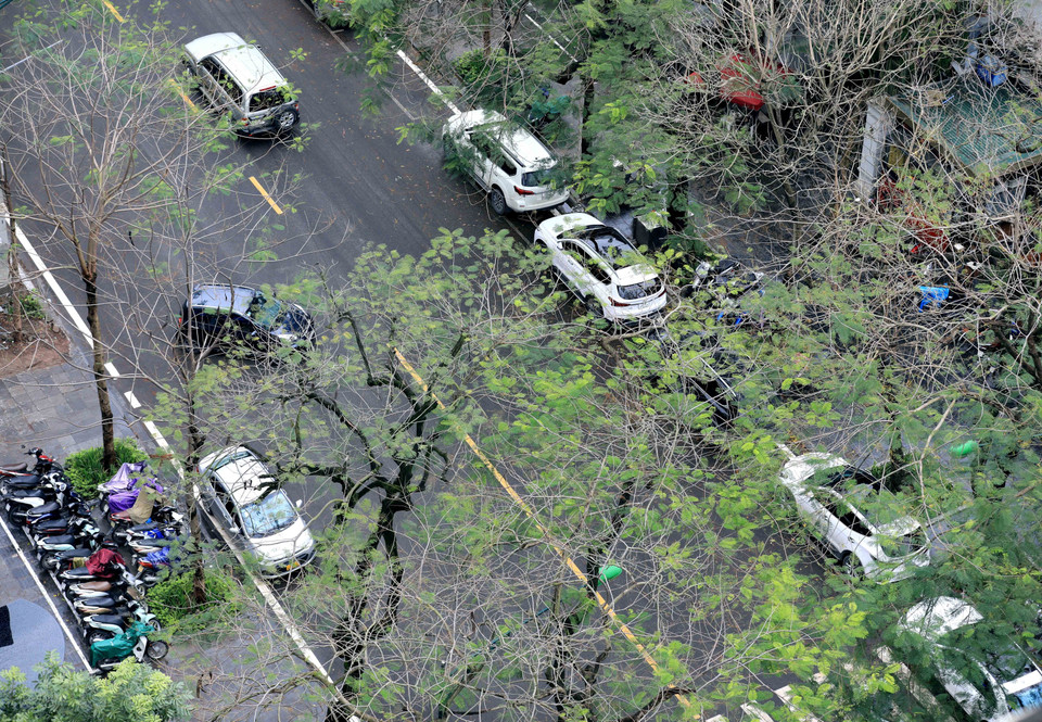 Hàng me trên phố Lý Thường Kiệt. (Ảnh: Nhật Anh/TTXVN)