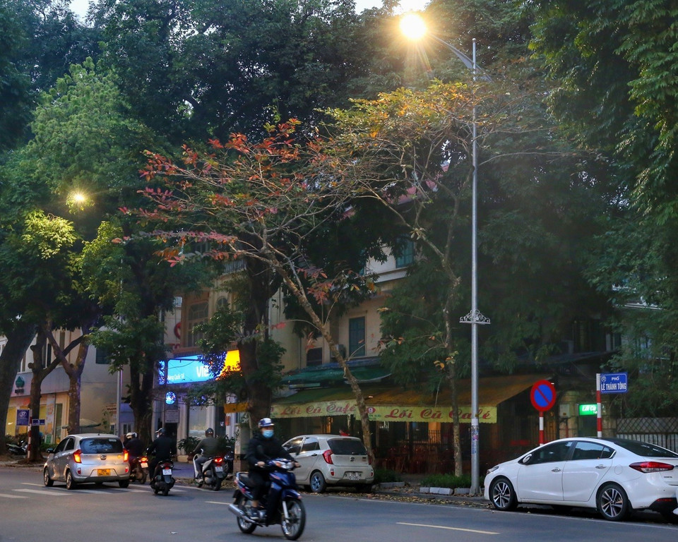 Những hàng cây chuyển mùa xen lẫn trong không gian xanh ngát của Hà Nội. (Ảnh: Tuấn Đức/TTXVN)
