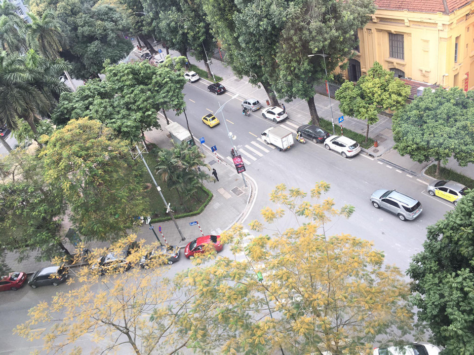 Hàng phượng vĩ lá nhuộm vàng trên góc phố Lý Thường Kiệt nối Lê Thánh Tông. (Ảnh: Hương Sơn/TTXVN)