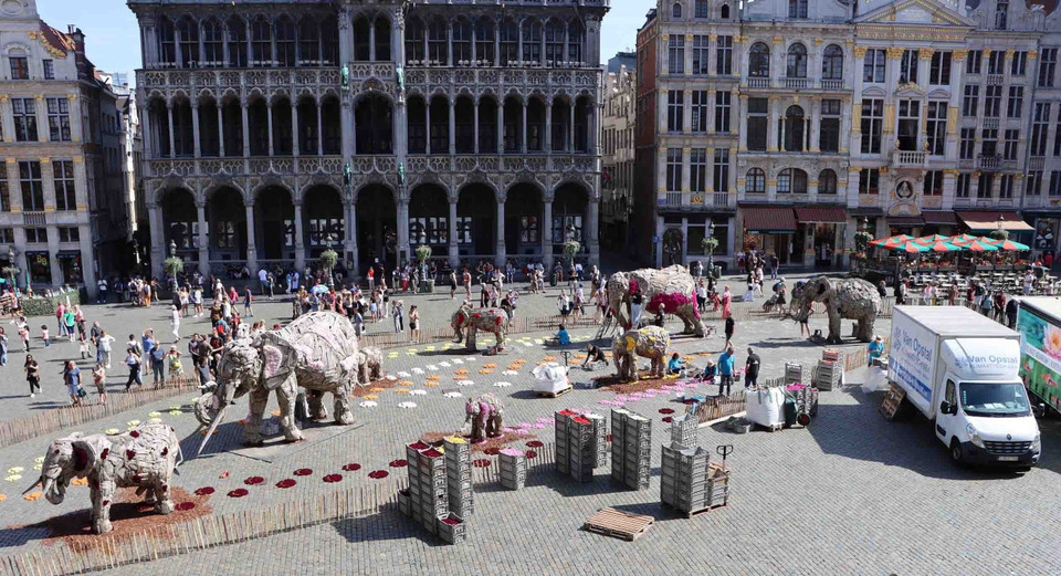 Các tình nguyện viên trang trí hoa cho đàn voi gỗ trên Quảng trường Lớn Brussels. (Ảnh: Hương Giang/TTXVN)