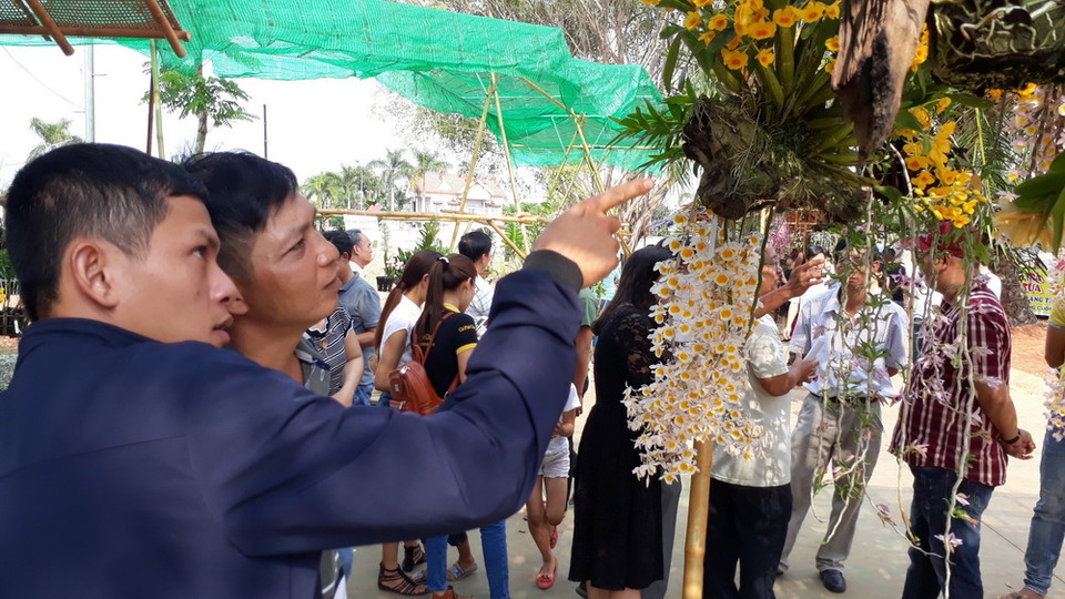 (Ảnh: K GỬIH/TTXVN)