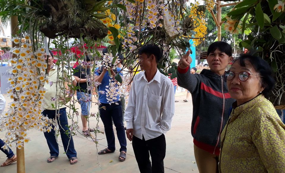 (Ảnh: K GỬIH/TTXVN)