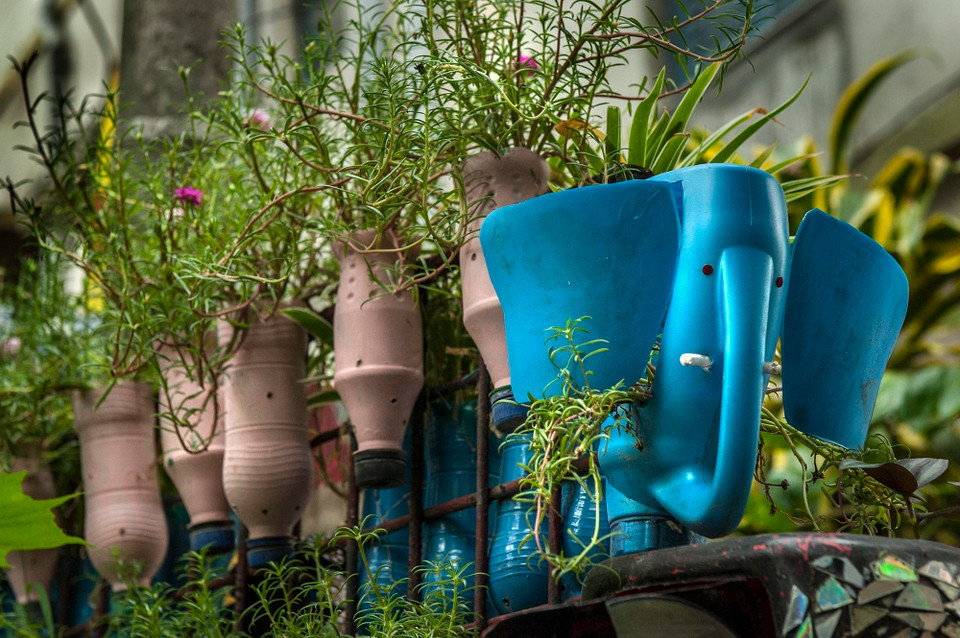 Khu vườn xanh được trang trí độc đáo của ông Partha Sarathi Ganguly ở Kolkata, Ấn Độ. (Ảnh: THX/TTXVN)