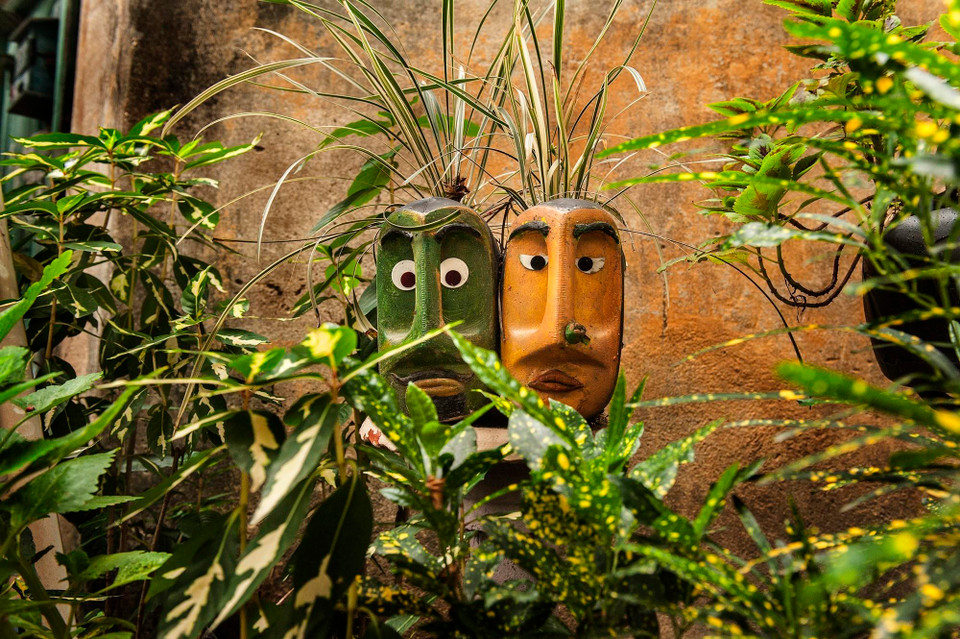 Một góc khu vườn xanh của ông Partha Sarathi Ganguly ở Kolkata, Ấn Độ. (Ảnh: THX/TTXVN)