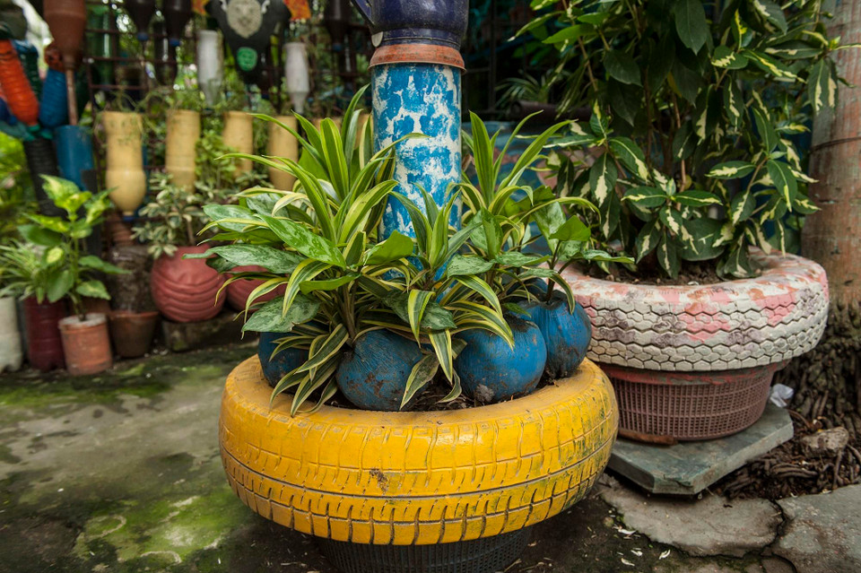 Một góc khu vườn xanh của ông Partha Sarathi Ganguly ở Kolkata, Ấn Độ. (Ảnh: THX/TTXVN)