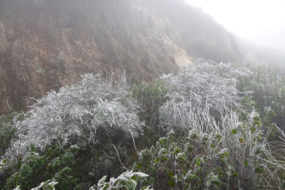Băng giá tại đỉnh Trống Páo Sang. (Ảnh: Tuấn Anh/TTXVN)