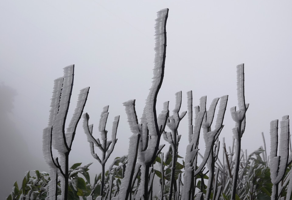 Băng giá tại đỉnh Trống Páo Sang. (Ảnh: Tuấn Anh/TTXVN)