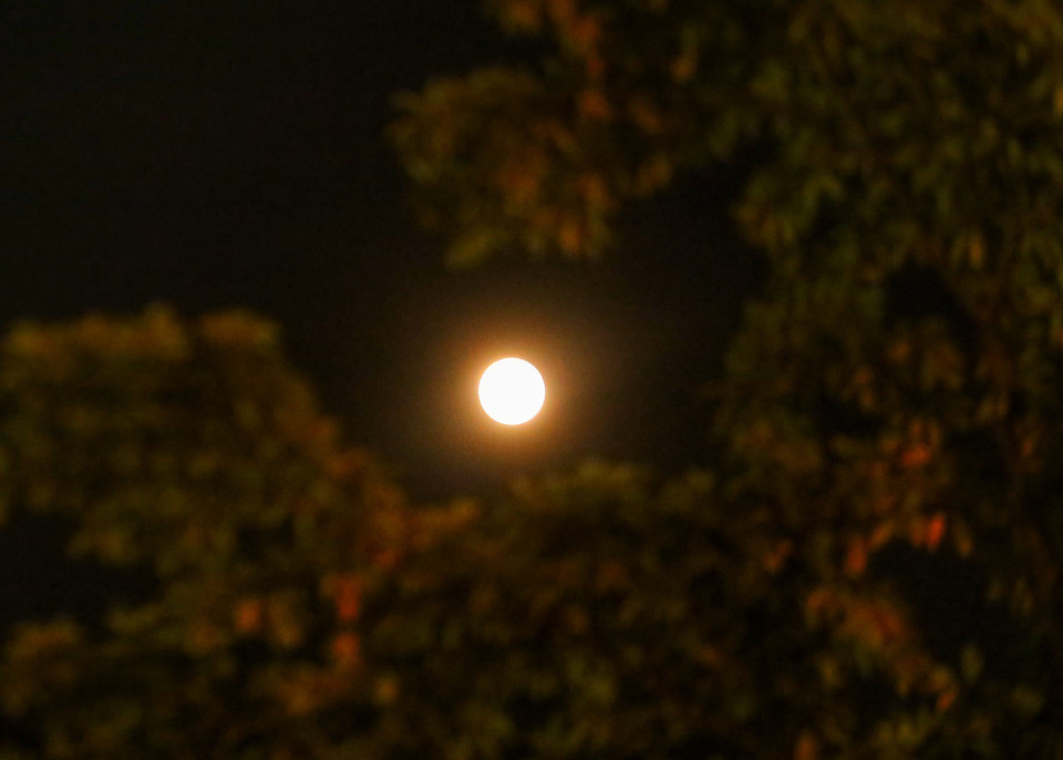 Nguyệt thực toàn phần diễn ra lúc 17h17 và kéo dài khoảng 85 phút. (Ảnh: Tuấn Đức/TTXVN)