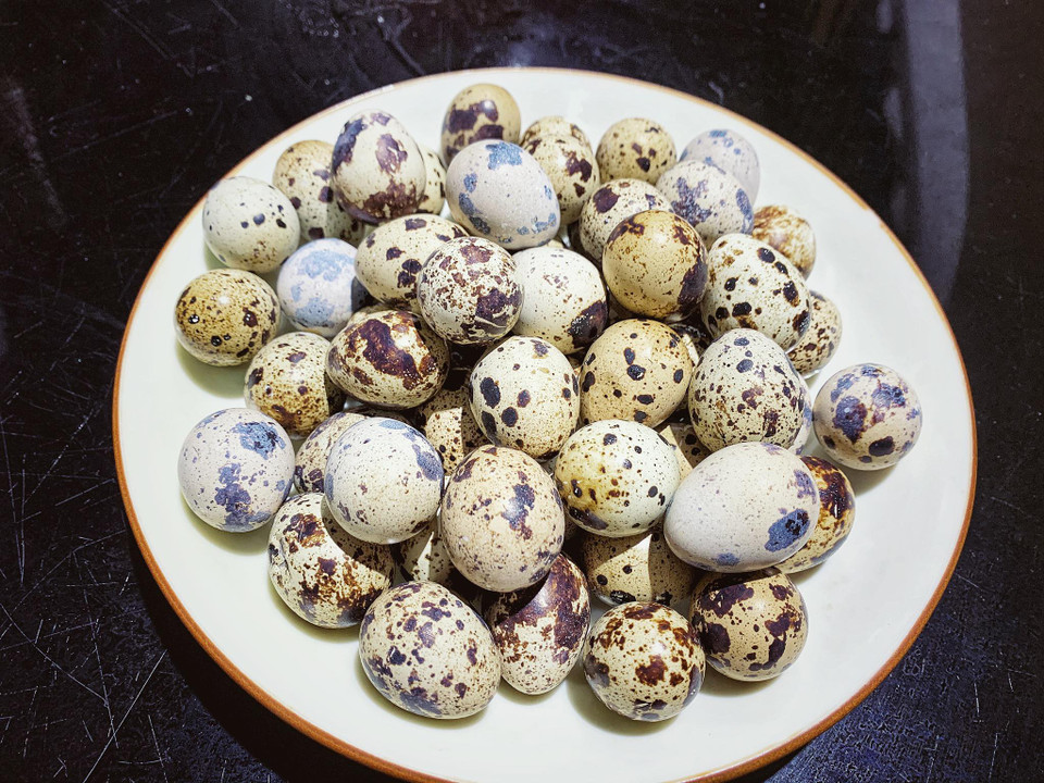 Nguyên liệu dành cho 5 người: 50 quả trứng cút lộn. (Ảnh: Mai Mai/Vietnam+)