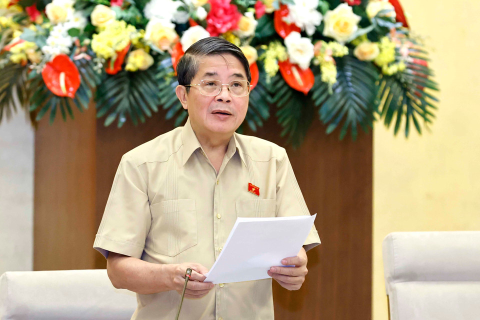 Phó Chủ tịch Quốc hội Nguyễn Đức Hải điều hành phiên họp. (Ảnh: Doãn Tấn/TTXVN)