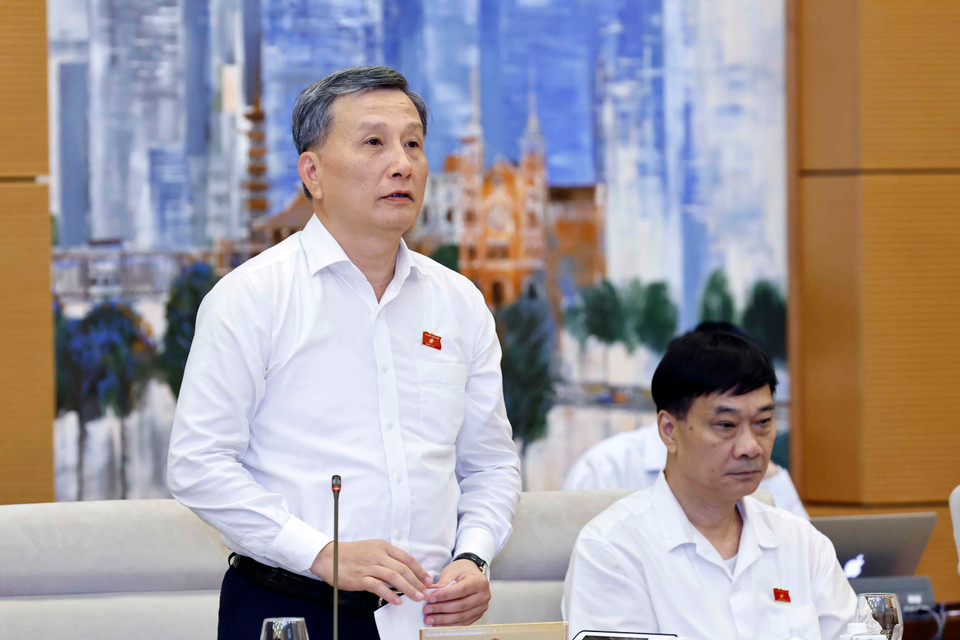 Chủ nhiệm Ủy ban Khoa học, Công nghệ và Môi trường của Quốc hội Lê Quang Huy trình bày tóm tắt báo cáo thẩm tra. (Ảnh: Doãn Tấn/TTXVN)