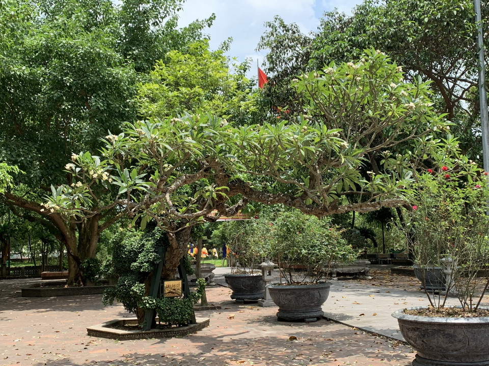 (Ảnh: M.Mai/Vietnam+)