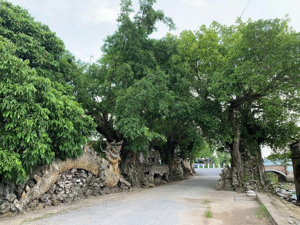 Con đường tuyệt đẹp trước khi bước chân vào làng Đồng Xâm. (Ảnh: M.Mai/Vietnam+)