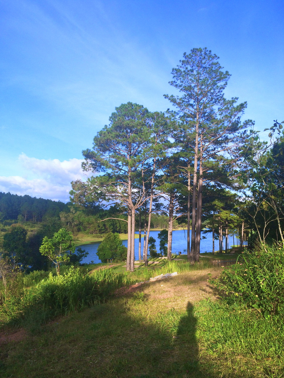 Khung cảnh nên thơ đặc trưng của Đà Lạt. (Ảnh: Xuân Mai/Vietnam+)