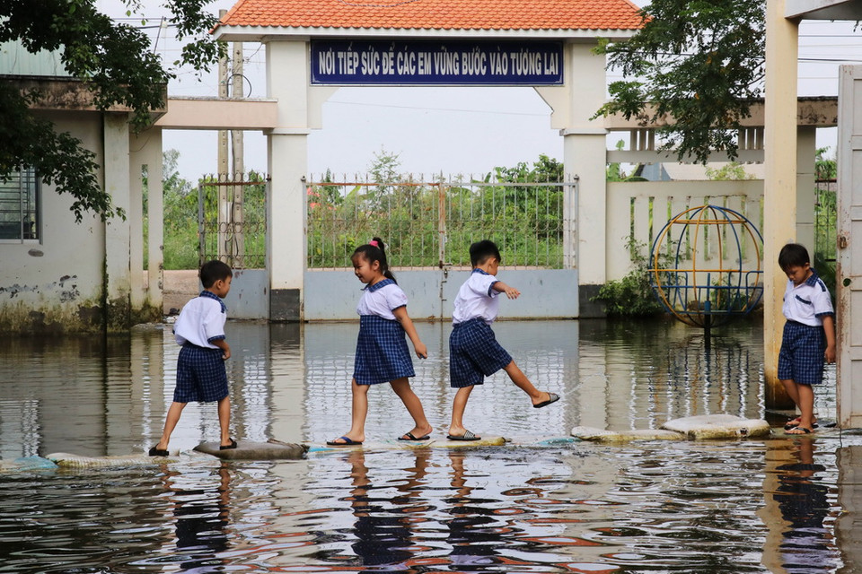Sân trường Tiểu học Vĩnh Đại (Tân Hưng) ngập trong nước lũ, phụ huynh và giáo viên phải dùng bao cát đắp đường cho các em học sinh đi lại. (Ảnh: Bùi Giang/TTXVN)