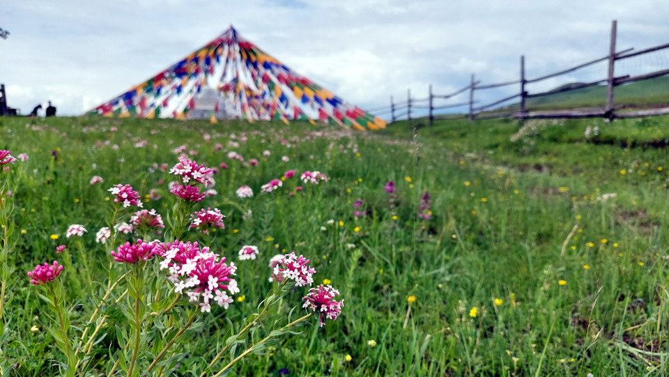 Đến đây, du khách có dịp thỏa sức ngắm nhìn những đồng cỏ mênh mông tận chân trời và hòa mình vào thiên nhiên tuyệt đẹp ngập tràn hương thơm của hoa dại, cỏ xanh.(Nguồn: Vietnam+)