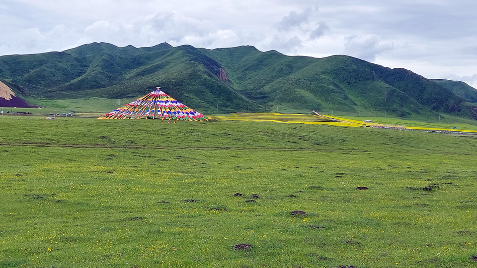 Nhờ có điều kiện thời tiết thuận lợi, thời gian nắng dài và lượng mưa dồi dào, các đồng cỏ ở đây gần như quanh năm được tươi tốt. (Nguồn: Vietnam+)
