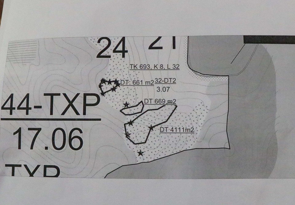 Cả 3 địa điểm rừng đã quy hoạch rừng phòng hộ trên đèo Tằng Quái bị chặt phá đều nằm gần nhau, thuộc Tiểu khu 693, với tổng diện tích rừng bị chặt phá hơn 5.440m2. (Ảnh: Xuân Tiến/TTXVN)