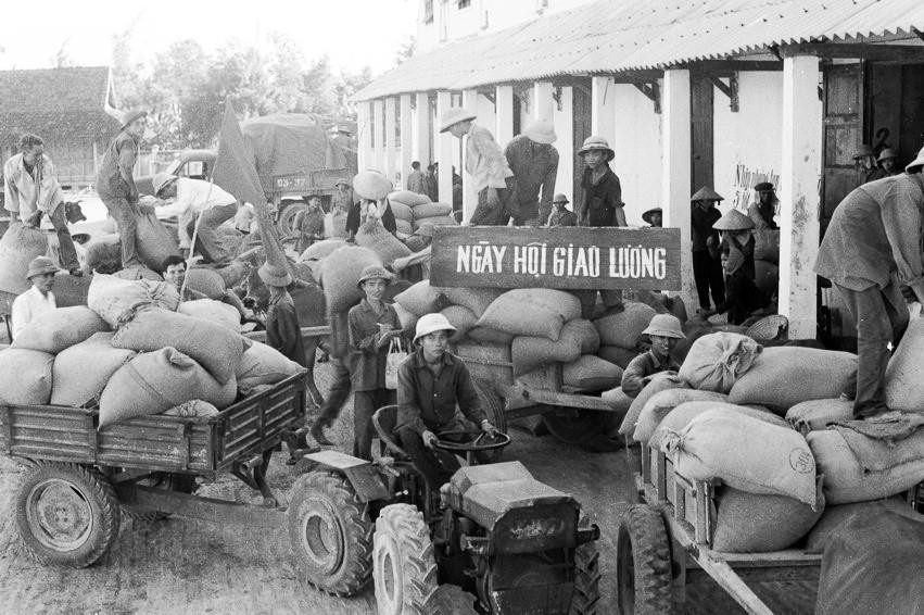 Ngày hội giao lương của huyện Quỳnh Lưu, tỉnh Nghệ Tĩnh (tháng 6/1978). (Ảnh: Lan Xuân/TTXVN)