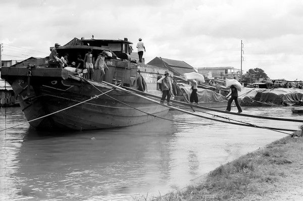Công ty Lương thực Thành phố Hồ Chí Minh đứng vững trên thị trường với mô hình kinh doanh mới theo nguyên tắc 'bán theo giá, đảm bảo kinh doanh', là đơn vị được tặng thưởng Huân chương Lao động hạng Nhì. (Ảnh: Tư liệu TTXVN)