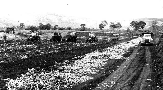 Đội máy cày khai hoang vùng kinh tế mới Hà Nội tại Lâm Đồng. (Ảnh: Tư liệu/TTXVN phát)