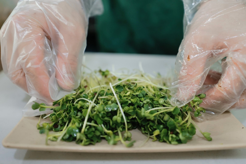 Rau cải mầm được ăn kèm với món mỳ Quảng. (Ảnh: Minh Quyết/TTXVN)