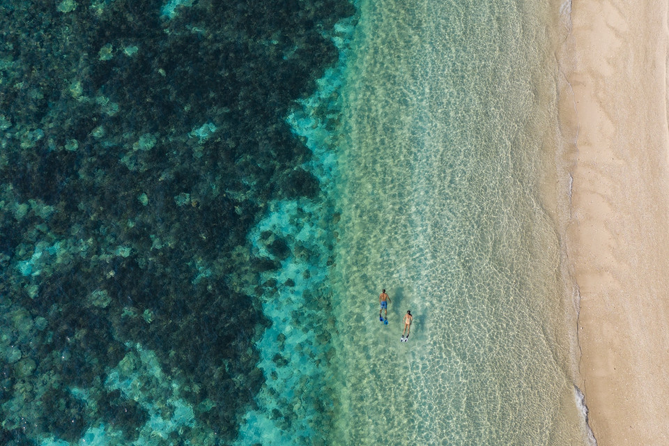 Lúc lại mê đắm khám phá thế giới dưới nước.(Ảnh: CTV/Vietnam+)