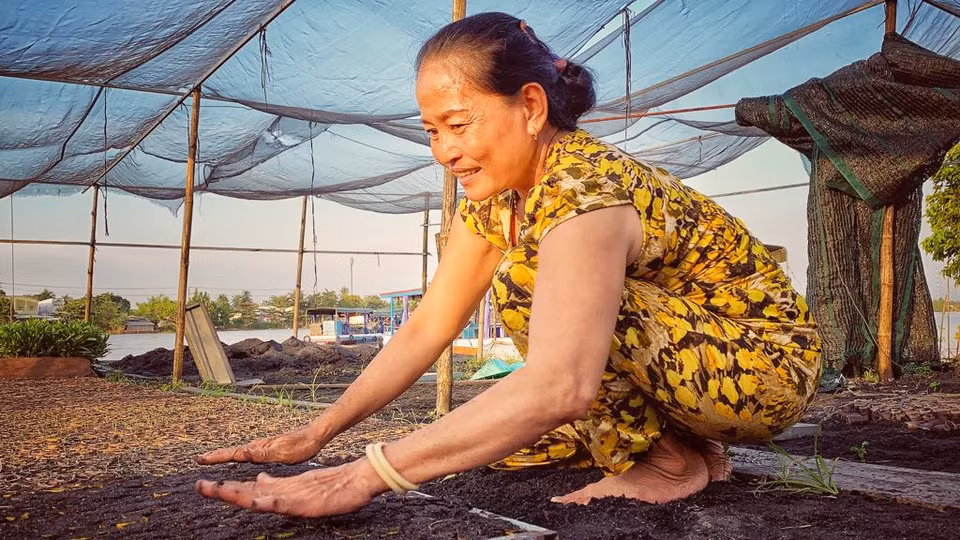 Cô Nguyễn Thị Bảy đã gắn bó với nghề 1/4 thế kỷ cho biết, nghề ươm cây tuy vất vả và thu nhập thấp nhưng là nghề chatruyền con nối nên cô làm nghề với tất cả niềm tự hào. (Ảnh: M.Mai/Vietnam+)