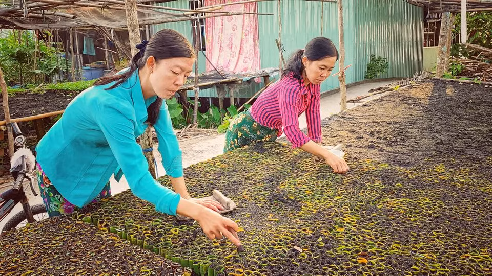 Làng ươm cây thủ công này đã truyền được cho nhiều đời. (Ảnh: M.Mai/Vietnam+)