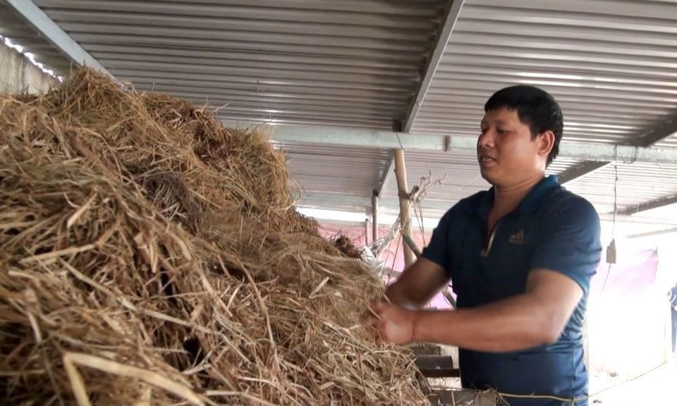 Anh Lê Đức Hà ở xã Văn Hóa, huyện Tuyên Hóa, tỉnh Quảng Bình bắt tay cải tạo chuồng nuôi để tái sản xuất sau lũ. (Ảnh: Võ Dung/TTXVN)